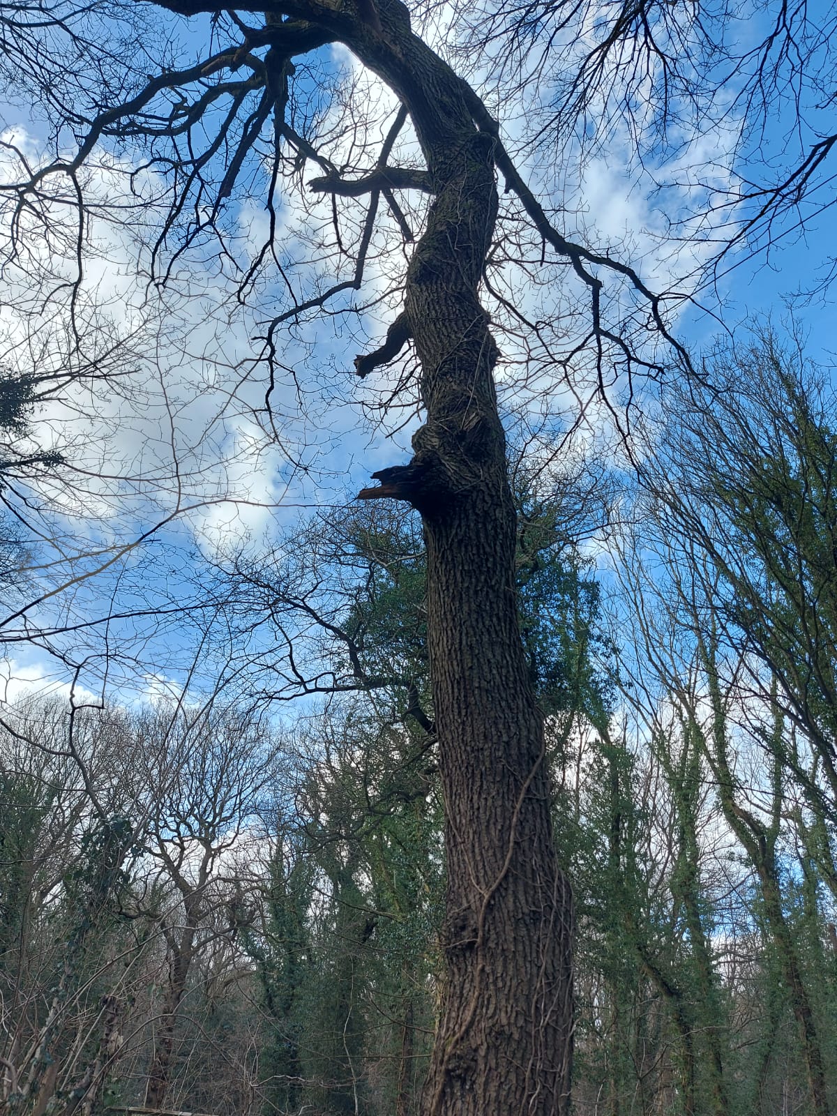 Environmental Compliance and Legal Services