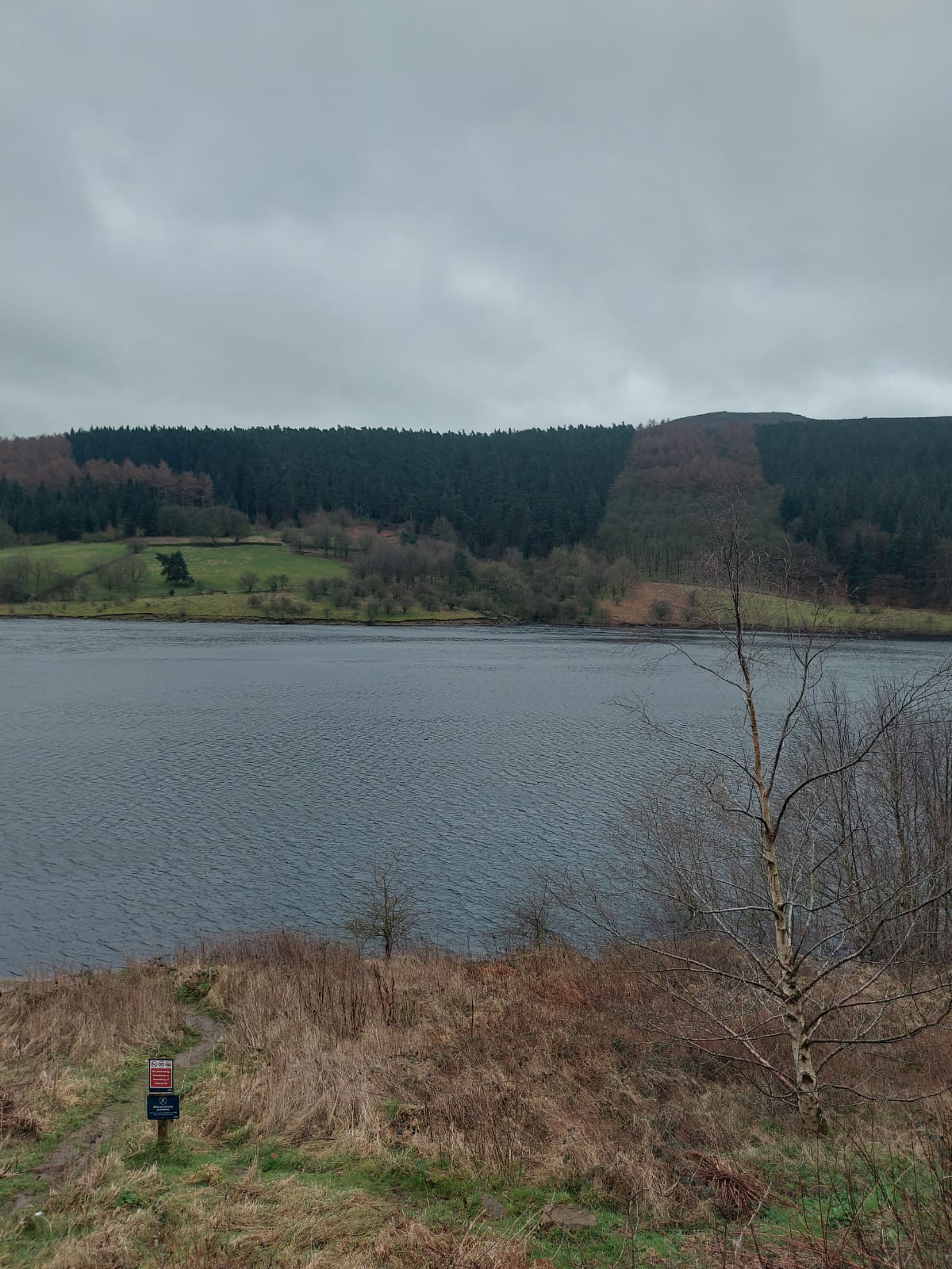 Verification and Validation Services